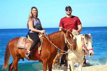 Cabo Desert Off-Road & Beach Horseback Combo and Tequila Tasting