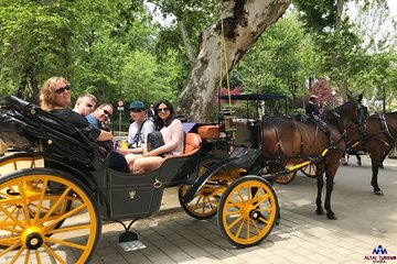 Seville Guided Horse Carriage Private Tour