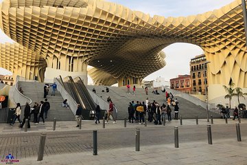 Seville With a View - Private Tour