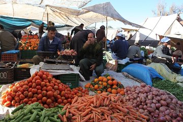 Atlas mountains, Berber villages, live like a local: Private Tour from Marrakech