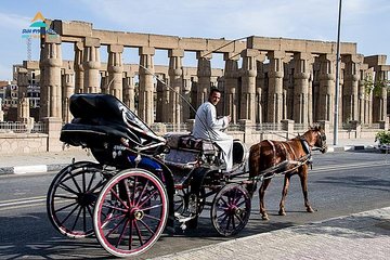 Luxor City Tour By Horse Carriage in Egypt
