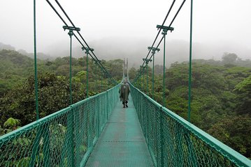 Rain Forest Monteverde,hanging bridges, sloths,birds watching 