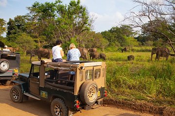 Private Wildlife Safari to Hurulu Eco Park