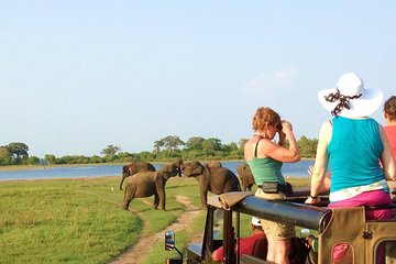 Private Jeep Safari to Kaudulla National Park