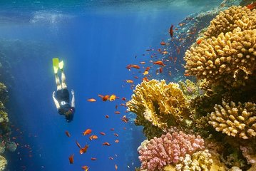 private over day tour From Luxor to Hurghada