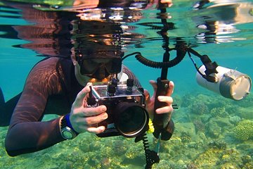 Snorkeling Trip At Paradise Island