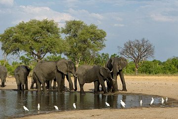 Hwange National Park 3 Days Package