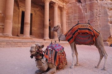 2 Day 1 Night Petra & Wadi Rum Shore Excursion (ON Petra)