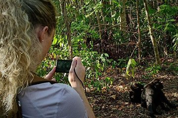 Tangkoko Overnight (2D1N)