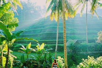 Ubud Tours Package