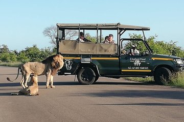 4-Day Safari & Private Reserve Highlight