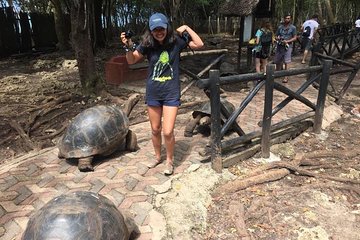 Prison Island and Stone Town Private Tour