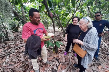 Excursion Day to Cocoa Farm from Guayaquil