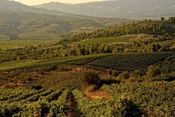 Nemea Private Wine Tour For Two Dedicated Wine Lovers (From Athens) 