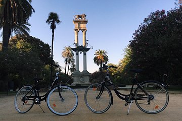 Bike rental day