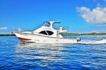 Transfer from Santa Cruz Island to Isabela Island