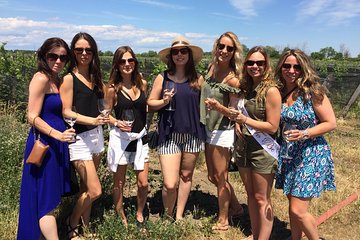 Half Day Wine & Cheese Tour - Niagara On The Lake Wine Tour