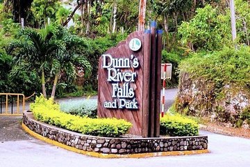 Negril to Dunn's River Small Group Tour