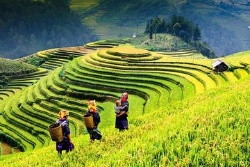 Sapa trekking 2days by bus from Hanoi ( over night in homestay)