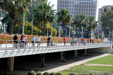 Valencia Bike or Segway Tour