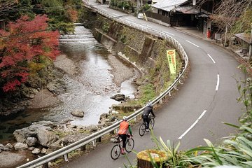 Kyoto Cycling Tour - Discover the Stunning Northern Hills