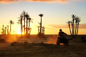 2h Quad ride in the palm grove