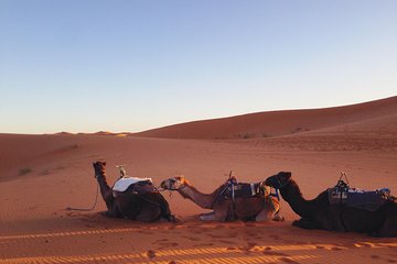 4 Days Trip from Marrakech to the Sahara Desert incl. Hiking in Dades