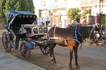 Luxor: Horse-Drawn Carriage