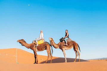 Camel Ride & overnight stay in Desert Camp Merzouga