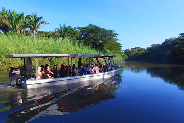 Costa Rican Wildlife: Palo Verde National Park Private Tour