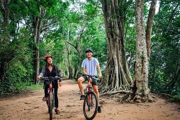 Half-Day Bike Tour of Angkor Wat and Bayon, the Smiling Temple