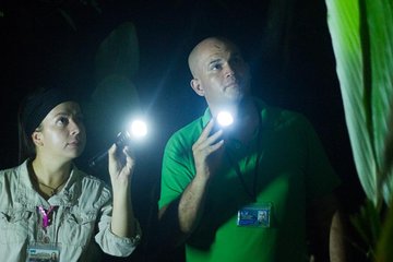 Small-Group Tortuguero National Park Night Walk in Costa Rica