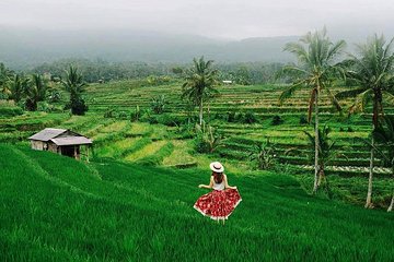 Voyage Prive à Tanah Lot, Jatiluwih, est Cascade Bali avec Un Guide Francophone