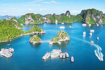 Luxury Halong Bay Full Day - Limousine Bus on Highway Transfer