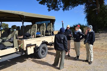 3 hrs Game drive in Chobe National Park 