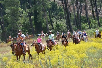 Horse Riding From Kusadasi Port / Hotels