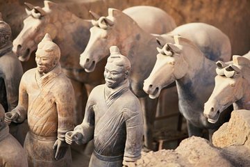 Xi'an in One Day from Xiamen by Air: Terracotta Warriors, City Wall and More