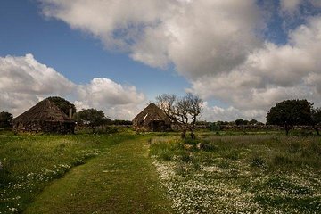 Archaeological tour of the Nuraghe Arrubiu in Orroli