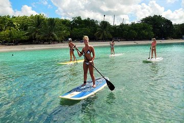 Grand Theme Tour: Paddle