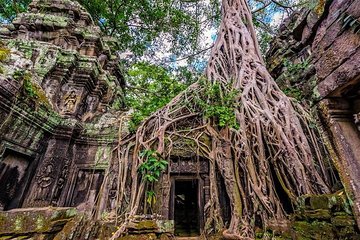 Private Angkor Temples Walking Tour from Siem Reap - Free Hotel Pick up/Drop Off