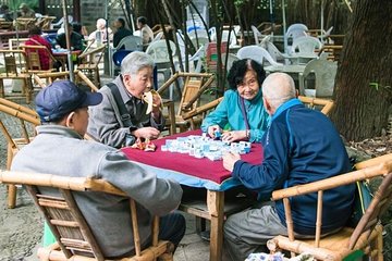 Private Chengdu Day Tour Panda Breeding Center, Wenshu Monastery