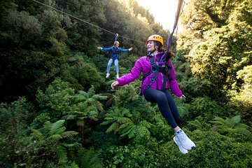 The Ultimate Canopy Zipline Experience Private Tour From Auckland