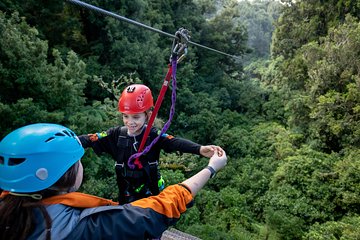 The Original Canopy Zipline Experience Private Tour From Auckland