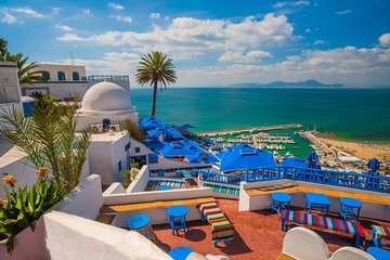 Bardo Museum- The ruins of Carthage- Village of Sidi Bou Said