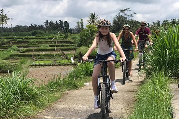 Half Day Cycling Tour