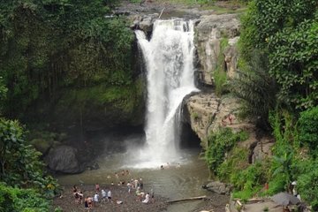 Best of Ubud intagram waterfalls with jungle swing and lunch 