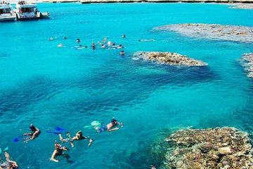 Full-Day Snorkeling Adventure In Tiran Island By Boat