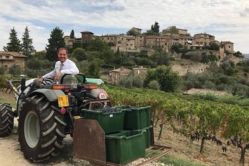 TRANSFER TOUR Lucca to Florence with a wine-tasting tour in CHIANTI