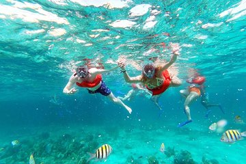 Family Friendly Catamaran Cruise Sunset Ricks Cafe Snorkeling
