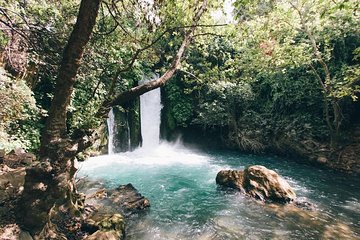 Ein Gedi, Dead Sea & Bedouin hospitality - Tiny group from Tel Aviv